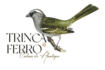 TRINCA FERRO